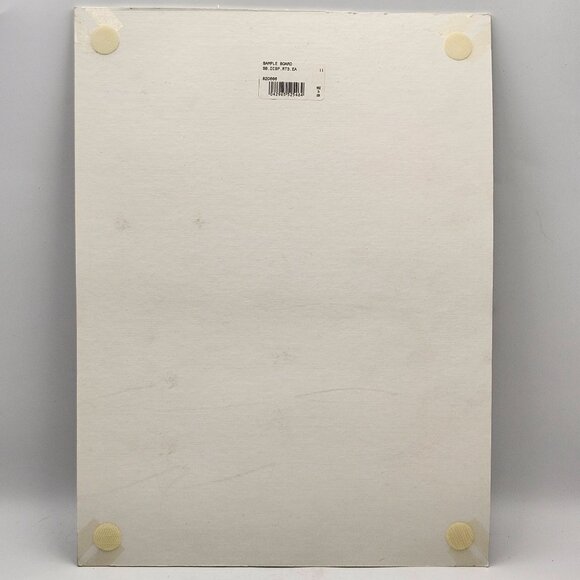 Yakima Wordens Rooster Tail 3-Pack Fishing Lures Sample Display Board 820666 - Picture 2 of 3